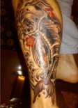 tatu-koi-na-goleni