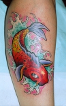 tatu-koi-na-noge