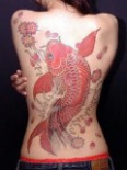 tatu-koi-na-spine