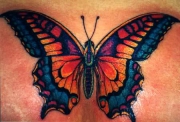 butterflys2
