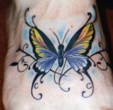 butterflys40
