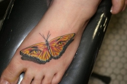 elegant-girls-butterfly-foot-tattoo-design-for-2011