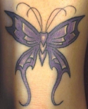 motyl_reka