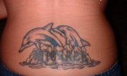 dolphin-tattoo-119216577516090