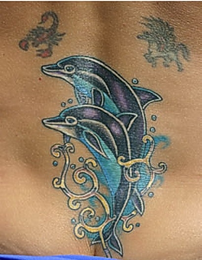 dolphin0057554