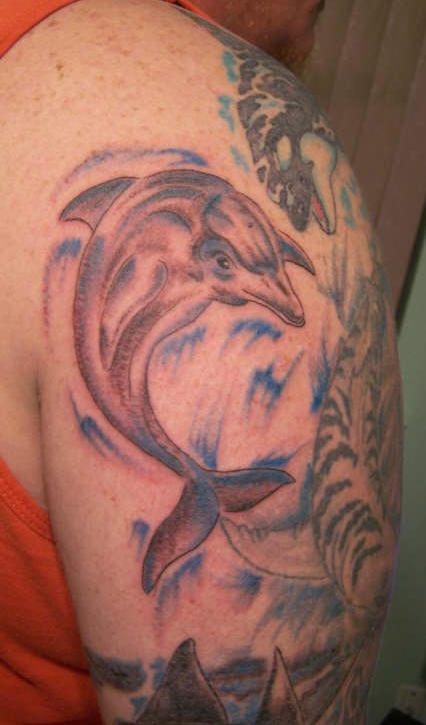 dolphin18