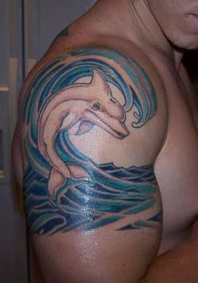 dolphin20