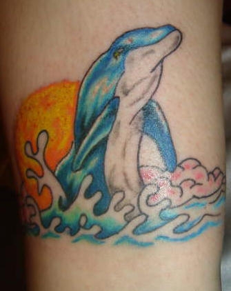 dolphin26