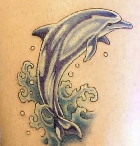 dolphin4