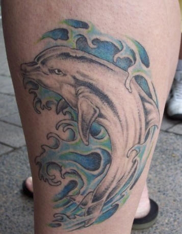 dolphin42