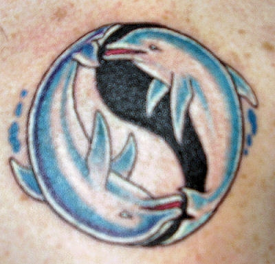dolphin50