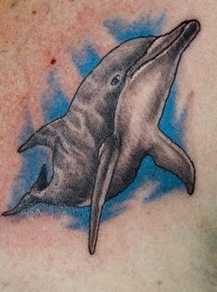 dolphin99
