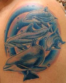 dolphins-tattoos