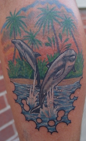 dolphins
