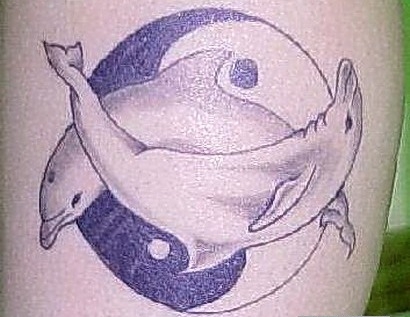 fish0051348