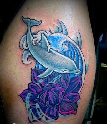 phoca_thumb_l_11