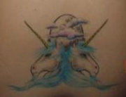 tatu-edinorogi
