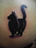 chernyiy-kot-tatu