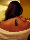 koshka-tatu-na-spine