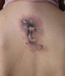 na-spine