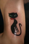 tatu-koshka