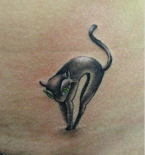 tatu-koshka