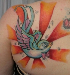 colored-angel-swallow