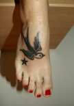 mares_swallow_and_a_star_5582973506164