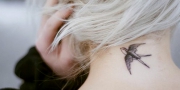 persona_tatu2-620x310