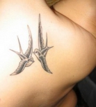 sparrow-tattoo-design