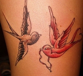 sparrow0135399