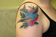 swallow-on-shoulder-tattoo-2a28673671939287dbcd59b29246330a2cf69357