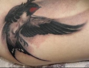 swallow-tattoo1