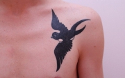 tatuaje_pasari_04