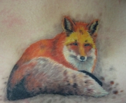 lisa-tatu