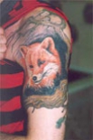 tatu-lisa-plecho