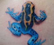 tatu-lyagushki_0