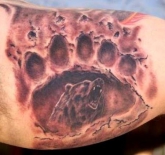 1306475747_tatu-medved