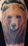 animal0011