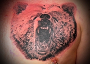 bear-tattoo-design