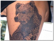 bear-tattoo-designs-pictures-13