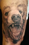 bear-tattoo