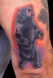 bear1