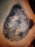 bear48