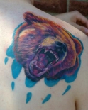 bearmp