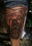 grizzly-bear-tattoo-by-halo-jankowski