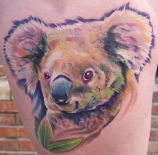 koalaa_large