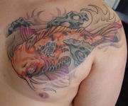 koi