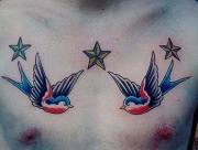 lastochki