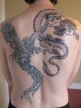 drakon-i-feniks